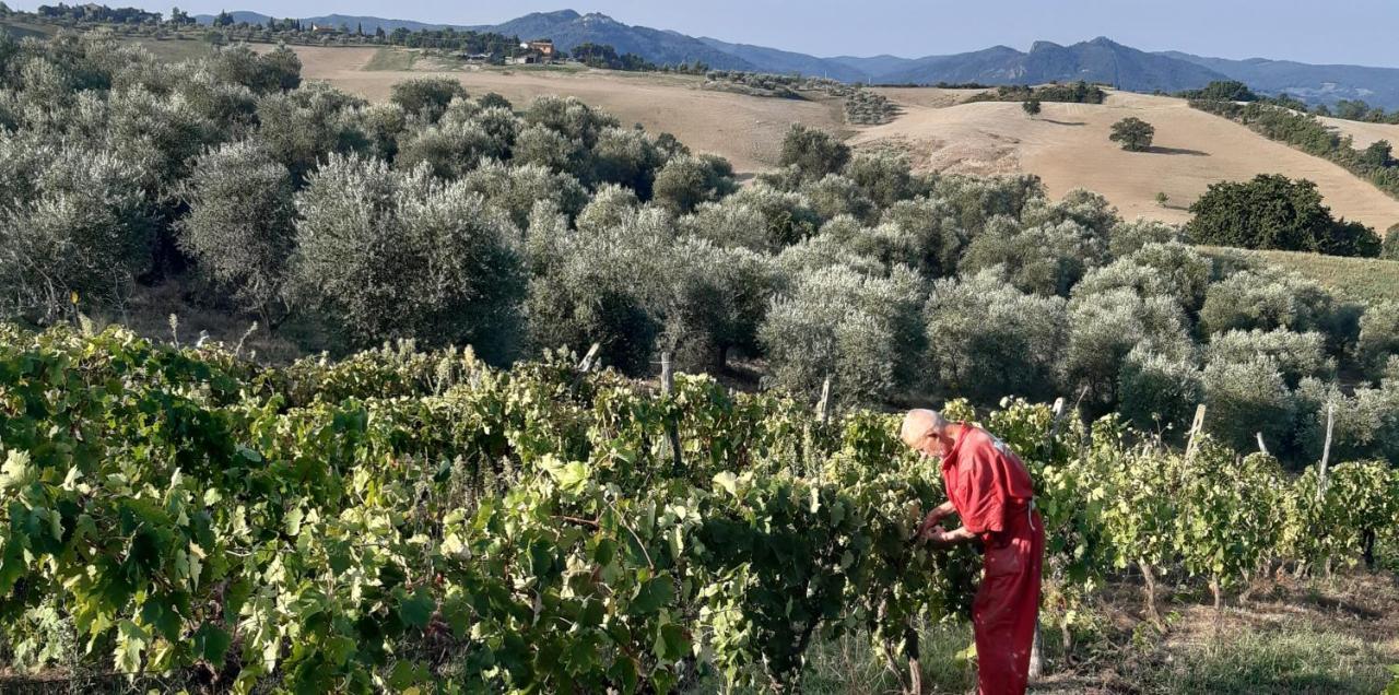 Agriturismo Santa Chiara Pomarance Dış mekan fotoğraf