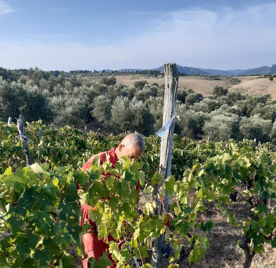 Agriturismo Santa Chiara Pomarance Dış mekan fotoğraf