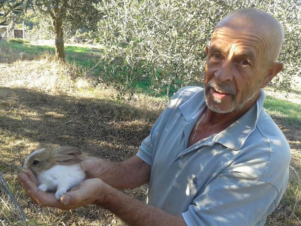 Agriturismo Santa Chiara Pomarance Dış mekan fotoğraf