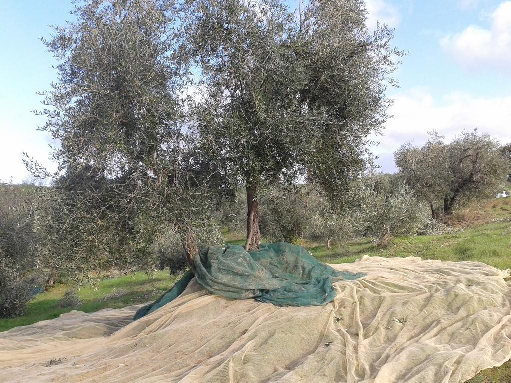 Agriturismo Santa Chiara Pomarance Dış mekan fotoğraf