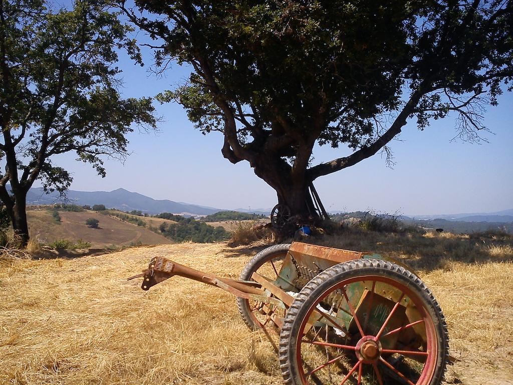 Agriturismo Santa Chiara Pomarance Dış mekan fotoğraf