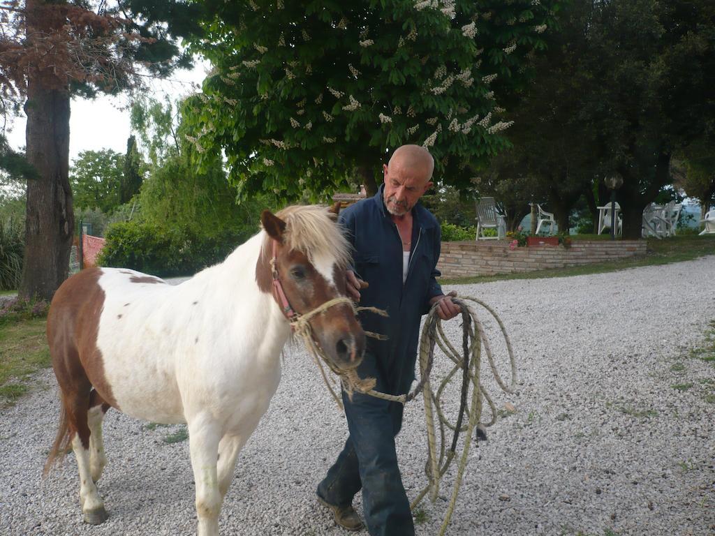 Agriturismo Santa Chiara Pomarance Dış mekan fotoğraf