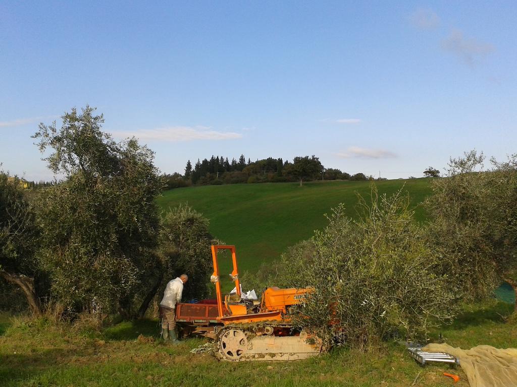 Agriturismo Santa Chiara Pomarance Dış mekan fotoğraf