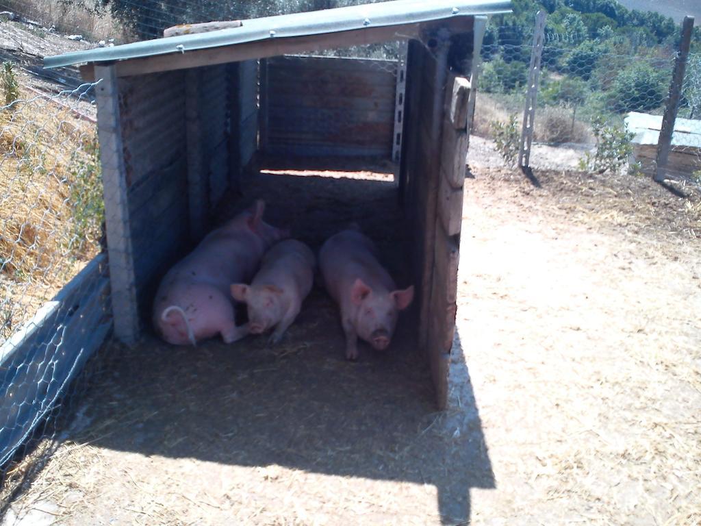 Agriturismo Santa Chiara Pomarance Dış mekan fotoğraf