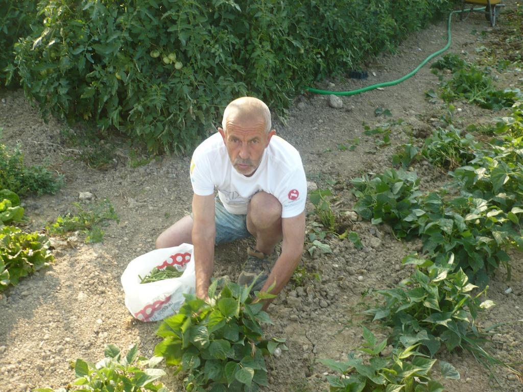 Agriturismo Santa Chiara Pomarance Dış mekan fotoğraf