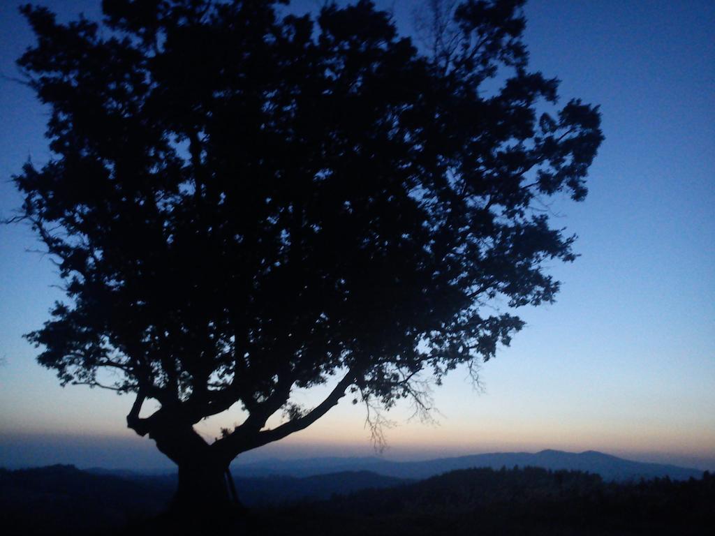 Agriturismo Santa Chiara Pomarance Dış mekan fotoğraf